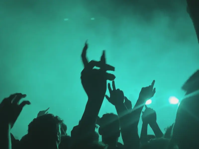 Público bailando con los brazos arriba, en movimiento